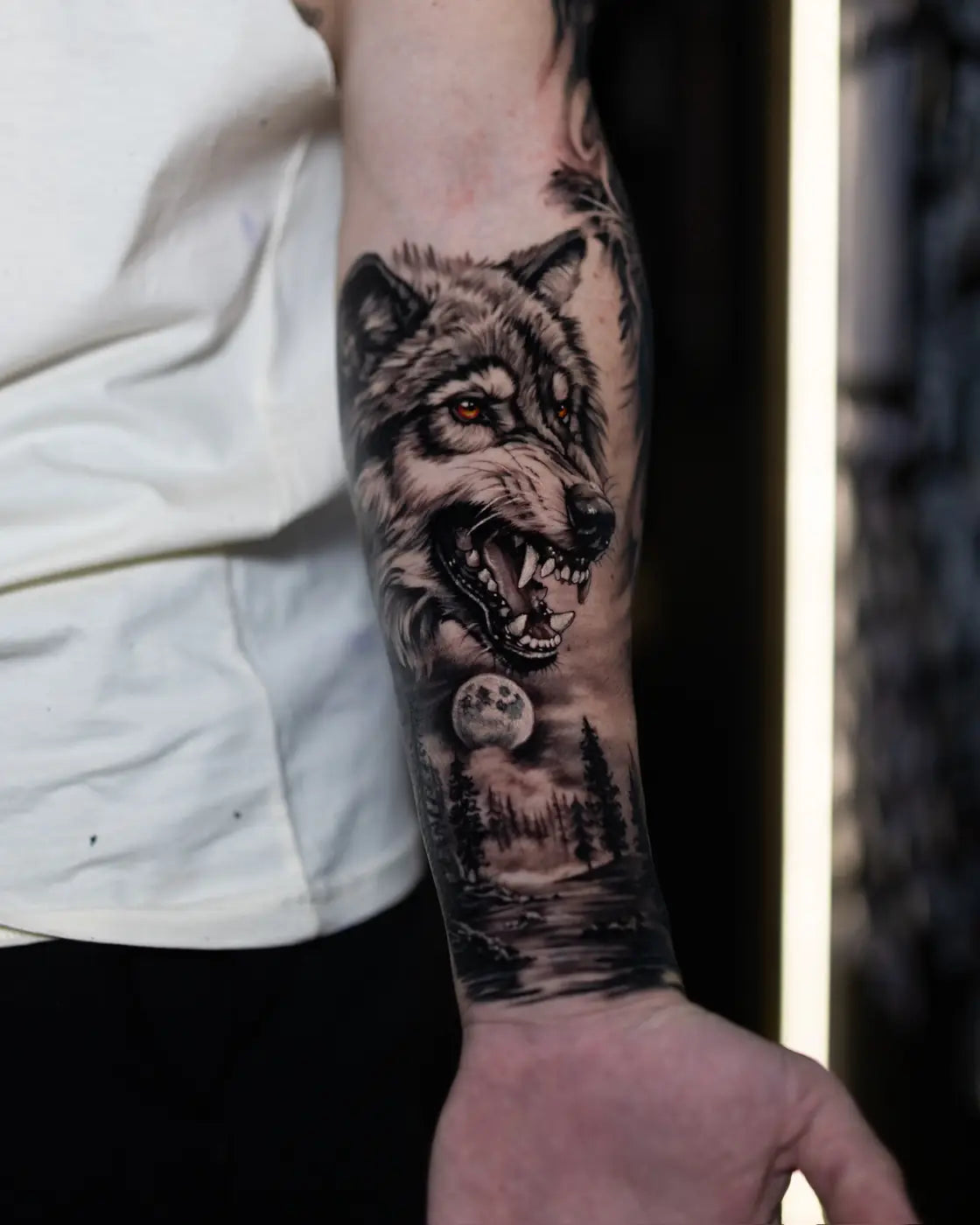 Wolf forearm