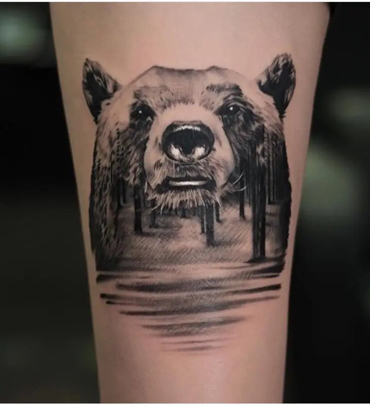 Bear